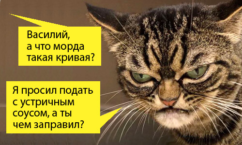 Мяяяяяу это спасибо или отпусти меня?