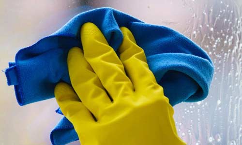 Смертельная уборка: чем опасно для кошек мытьё окон