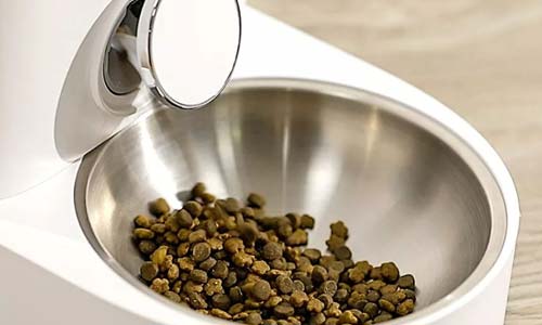 Xiaomi Petkit Fresh Element