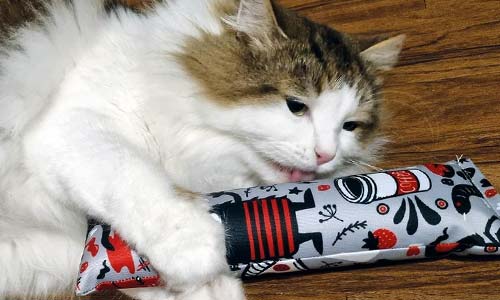 Валериана против кота