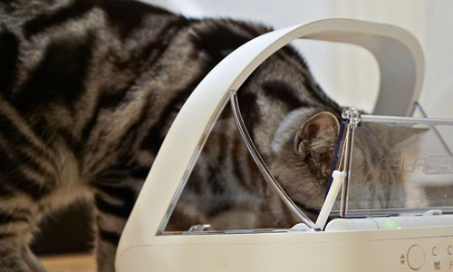 Автокормушка дозирует количество корма