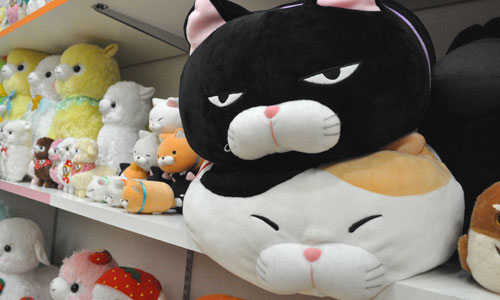 Топ-50 имён для кошек страны восходящего солнца