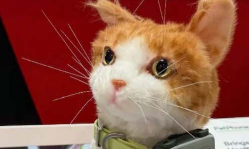 GlocalMe представила первый в мире PetPhone — смартфон для кошек и собак