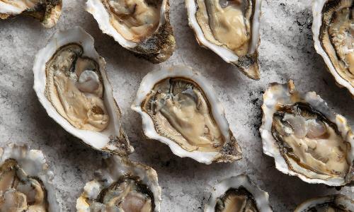 «Плотоядная» бактерия продолжает свирепствовать на юго-востоке США  