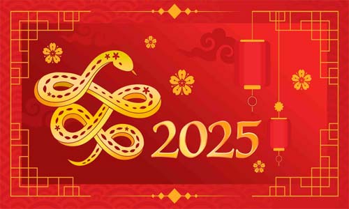 Дайджест 2025
