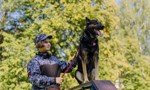 Первый в РФ учебный центр для социализации собак начал работу в Рязани