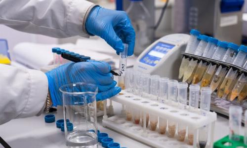 Банк антигенов для борьбы с ящуром создан в Америке