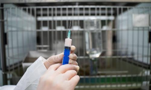 Испанская Hipra создает вакцину против АЧС после первой за 30 лет вспышки