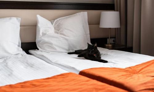 ГОСТ на размещение с питомцами в гостиницах появится в РФ в 2026 году