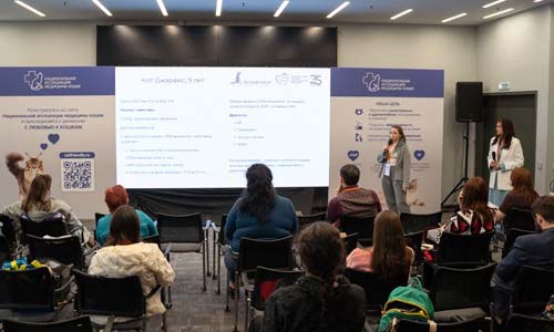 «Кошка сама знает, сколько ей есть»: ветеринары развенчали самые опасные мифы о питании