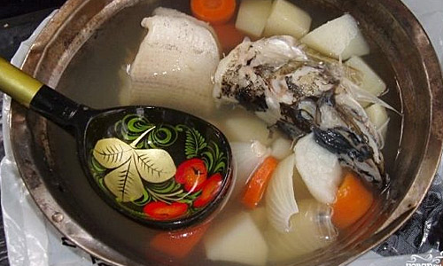 Перегрев аквариума