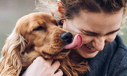 Любит ли вас собака? Верные признаки привязанности