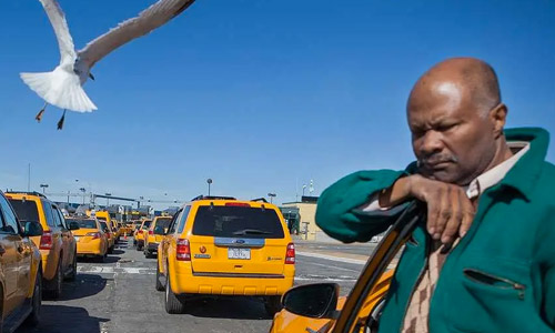 Перевозка птиц в такси разрешена в клетке с глухим дном