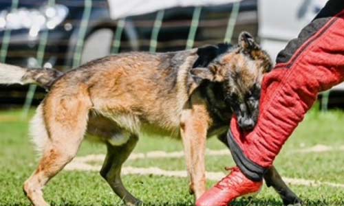 Костюм фигуранта регулярно проверяется на целостность
