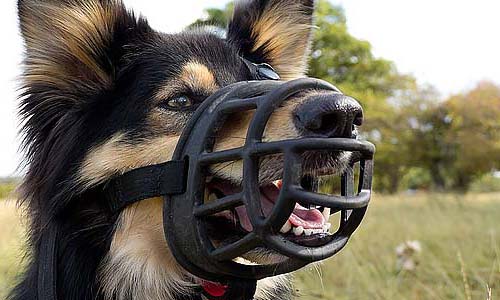 Пластиковая корзинка