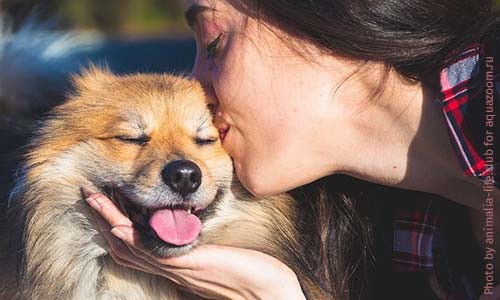 Как укрепить связь с собакой