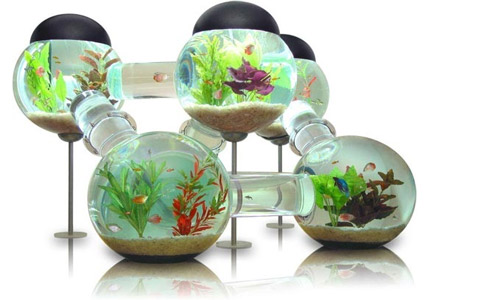 Формы аквариумов