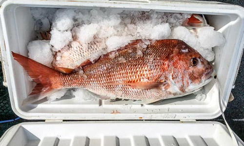 Обогрев в аквариумах