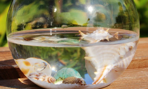 Купили аквариум, поздравляем