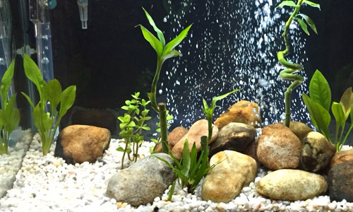 Гравий для аквариума