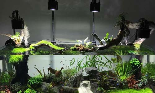 Обзор светильников для аквариума до 100 литров