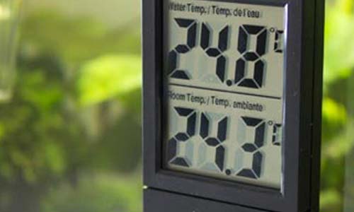 Обзор терморегуляторов для аквариума