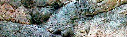 Аквариумный фон Суматра