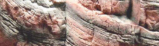 Аквариумный фон Танганьика