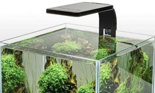 Aquael Leddy Smart Sunny Day&Night