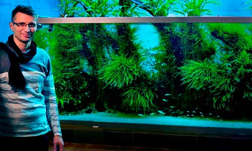 Как создать аквариум Амано дома