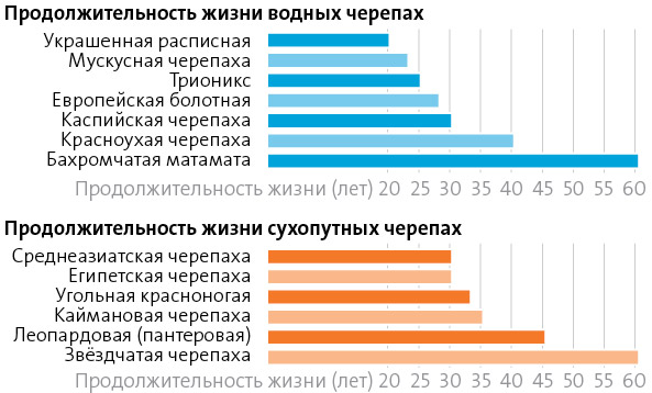 Гистограмма сравнения продолжительности жизни домашних черепах