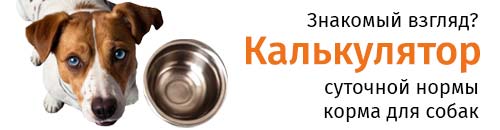 Калькулятор суточной нормы корма для собак
